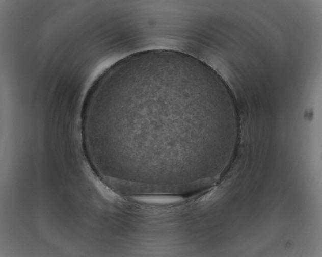 X0000093251072200710031559