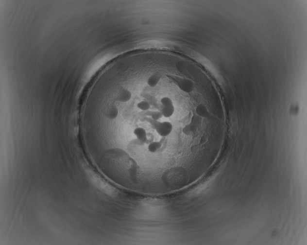 X0000093251075200710031558