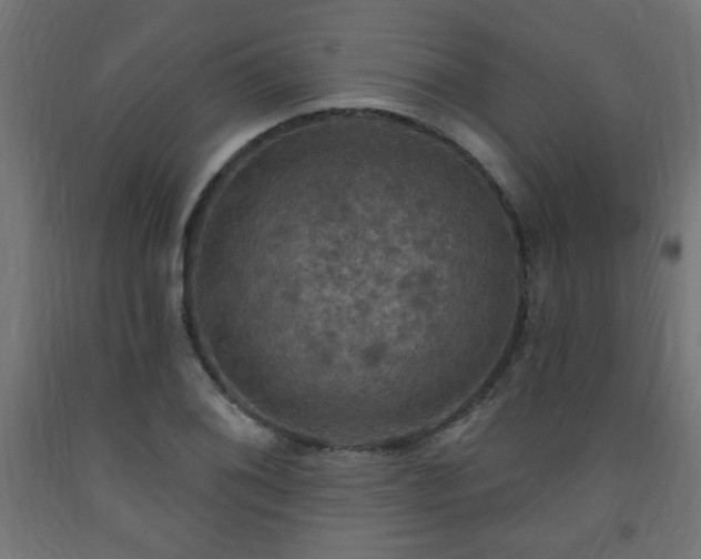 X0000093251076200710031558