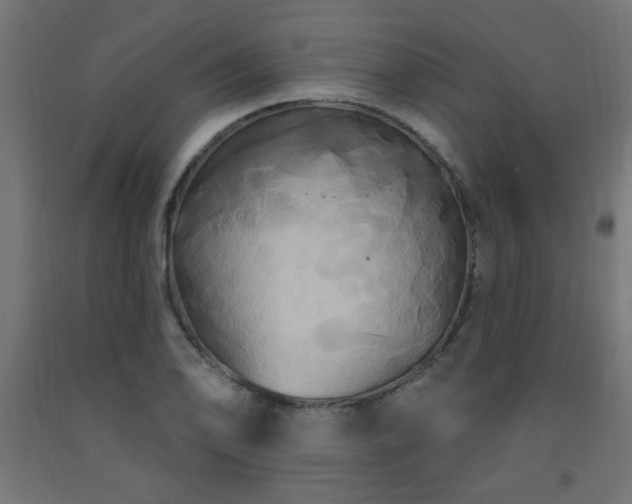 X0000093251078200710031558