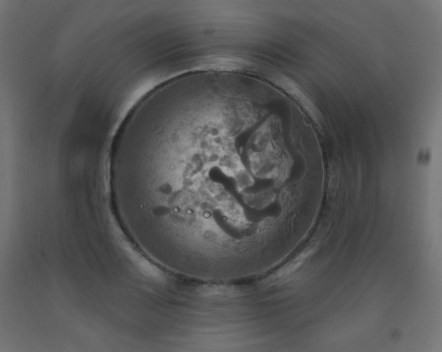 X0000093251083200710031558