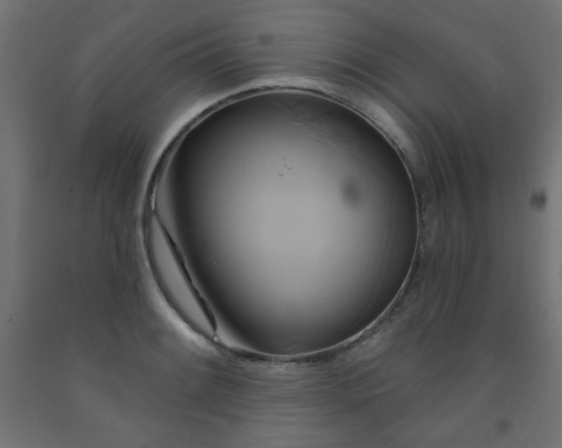 X0000093251084200710031558