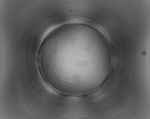 X0000093251086200710031558