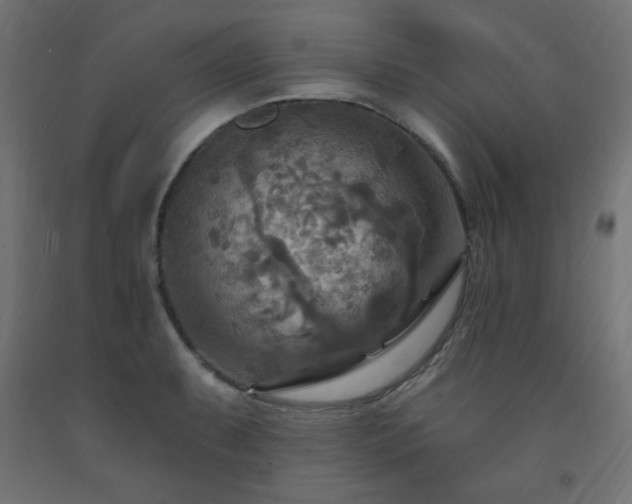 X0000093251087200710031558