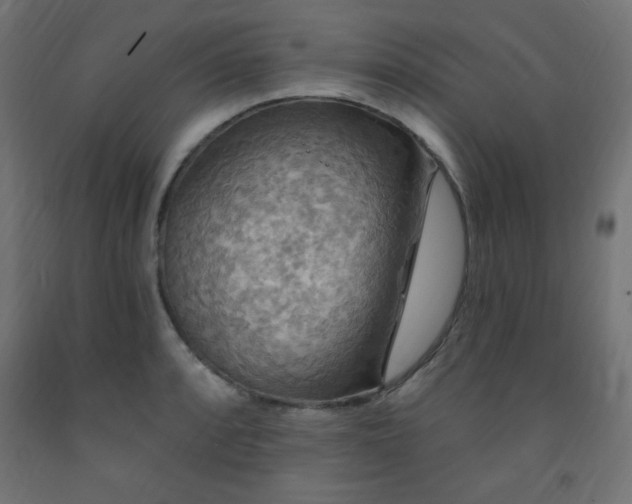 X0000093251088200710031558