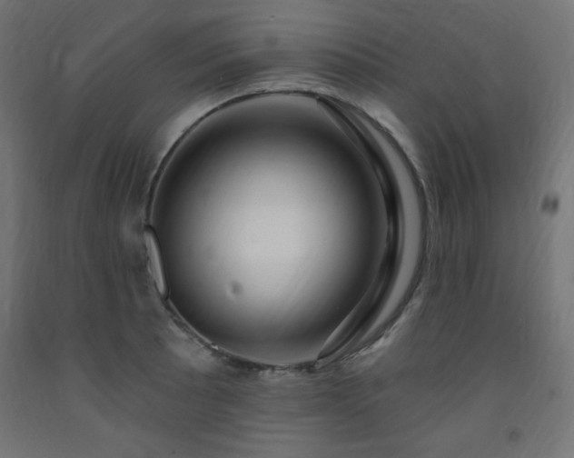 X0000093251089200710031558