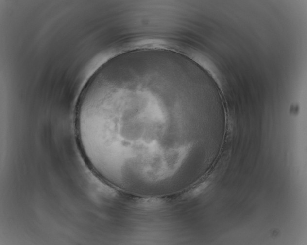 X0000093251090200710031558