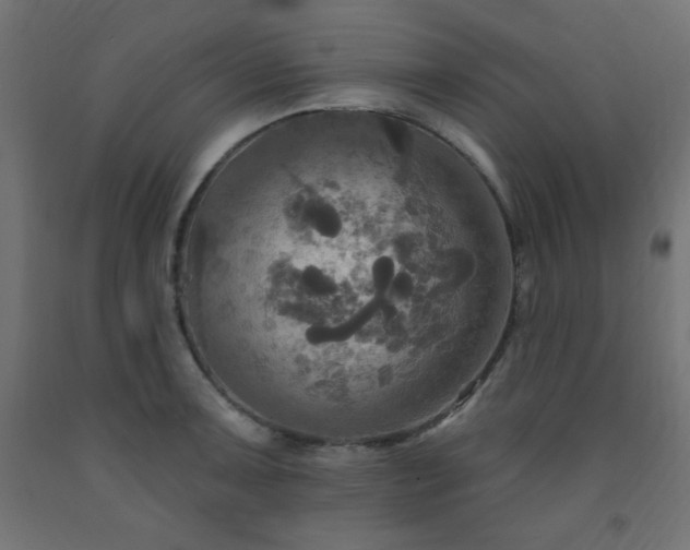 X0000093251091200710031558