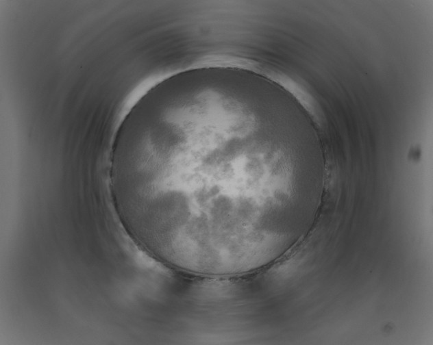 X0000093251094200710031558