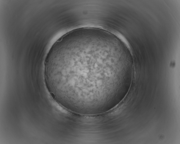 X0000093251096200710031558