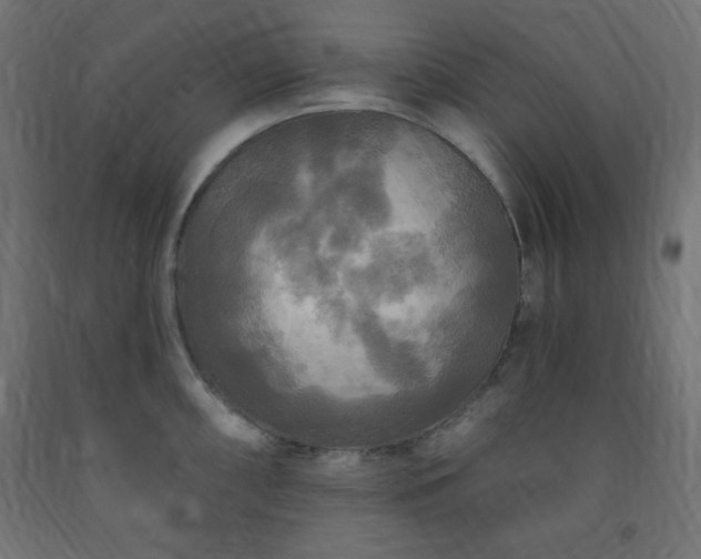 X0000093251098200710031558