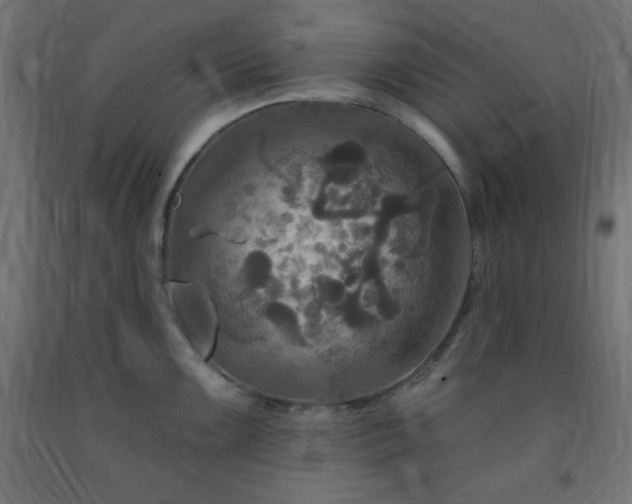 X0000093251099200710031558