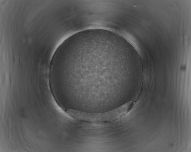 X0000093251100200710031558