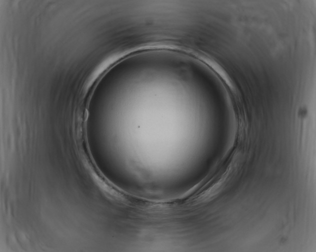 X0000093251101200710031558