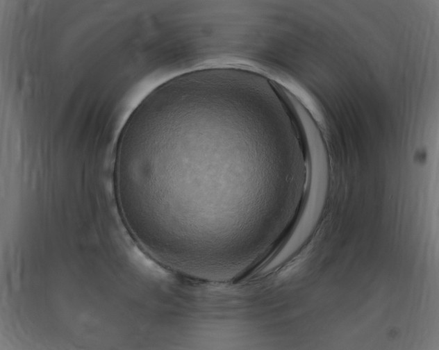 X0000093251102200710031558