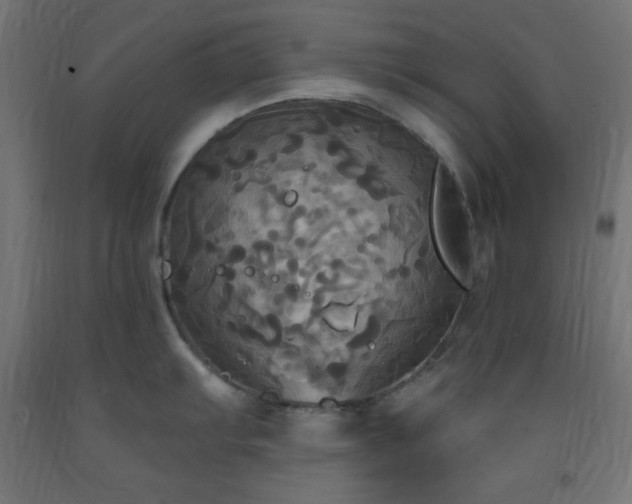 X0000093251103200710031558