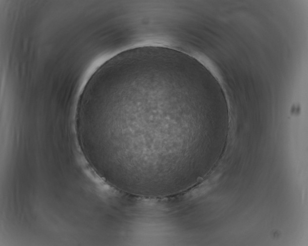 X0000093251104200710031558