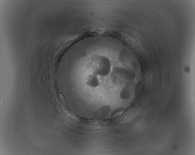 X0000093251105200710031557