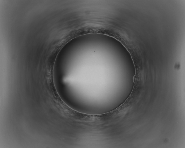 X0000093251109200710031557