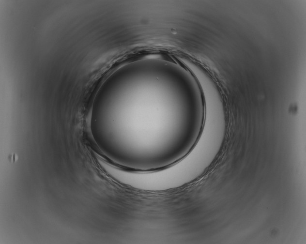 X0000093251110200710031557