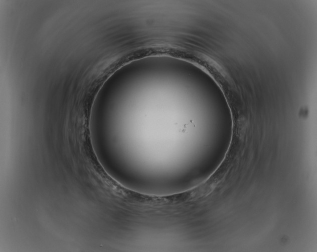 X0000093251111200710031557