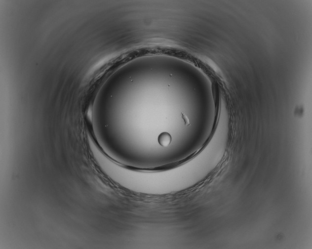 X0000093251112200710031557