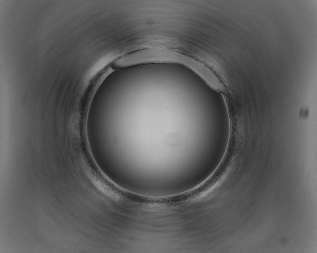 X0000093251114200710031557