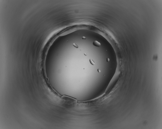 X0000093251116200710031558