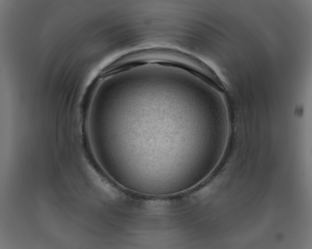 X0000093251118200710031558