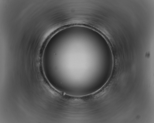 X0000093251119200710031558