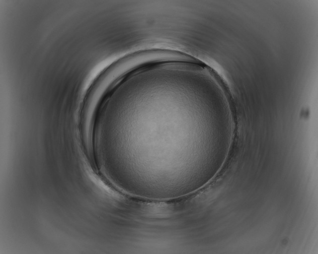 X0000093251120200710031558