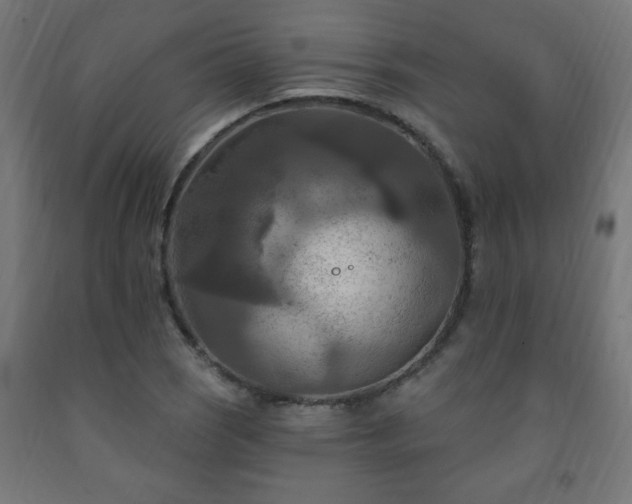 X0000093251121200710031558