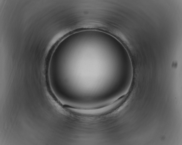 X0000093251122200710031558