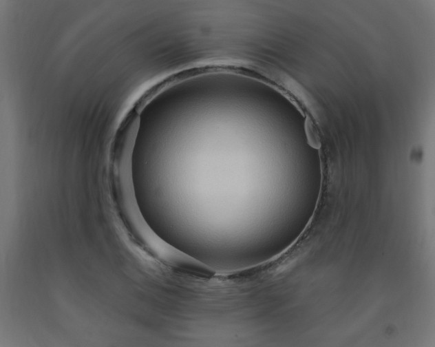 X0000093251124200710031558