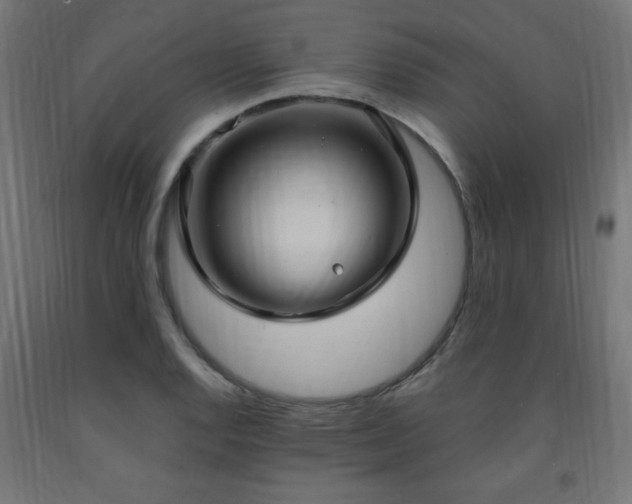 X0000093251128200710031558