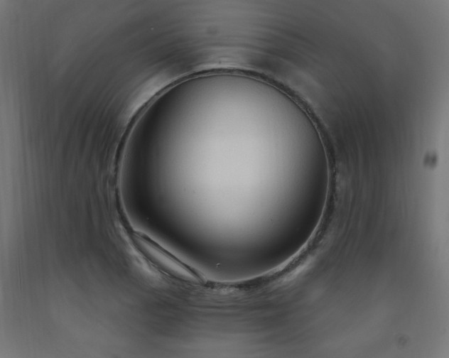 X0000093251129200710031558