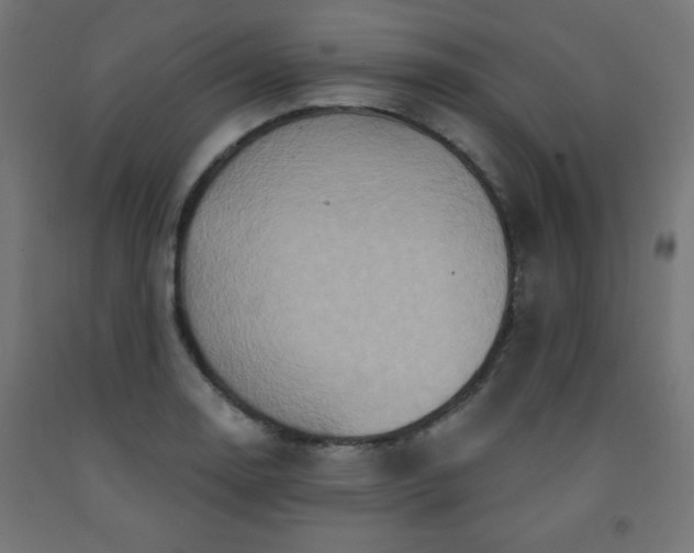 X0000093251130200710031558