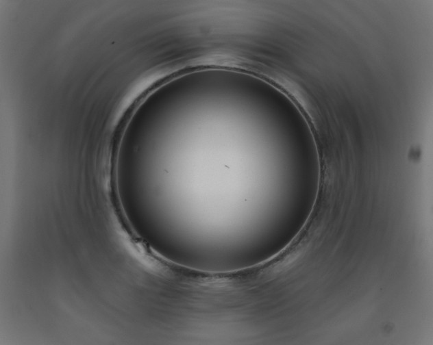 X0000093251131200710031558