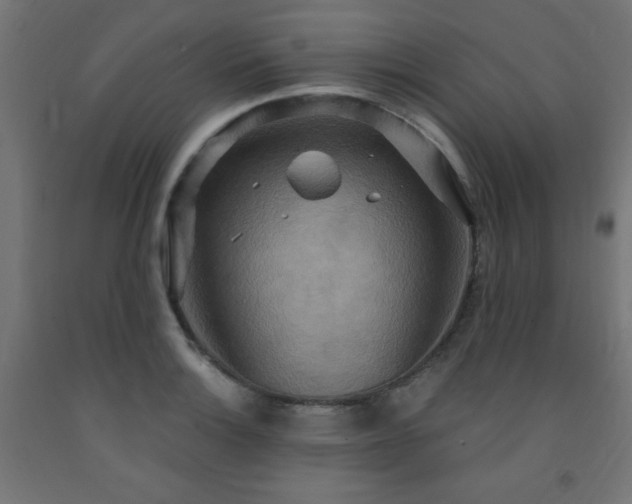 X0000093251132200710031558