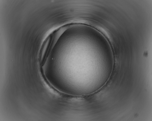 X0000093251133200710031558