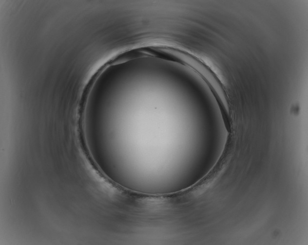 X0000093251134200710031558