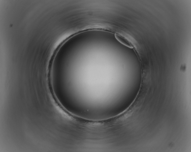 X0000093251135200710031558