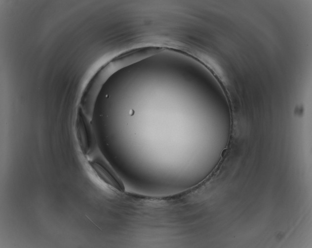 X0000093251136200710031558