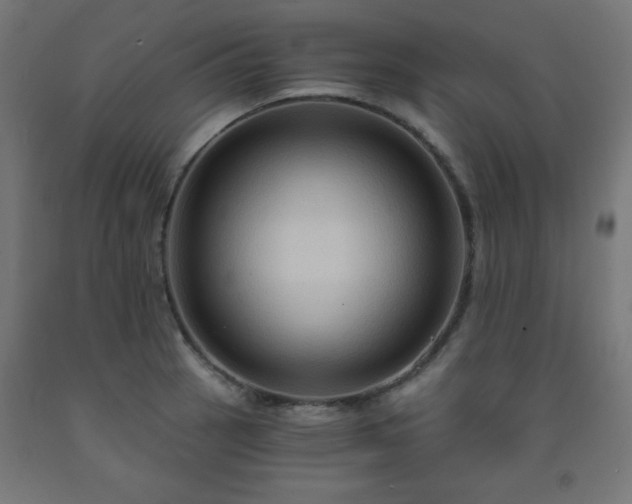 X0000093251137200710031558