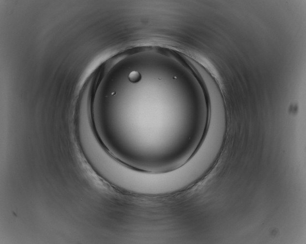 X0000093251138200710031558