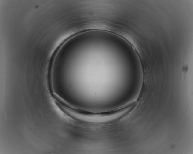 X0000093251139200710031558