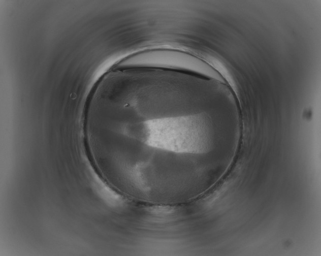 X0000093251141200710031558