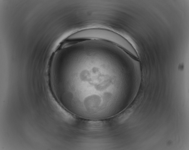 X0000093251142200710031558