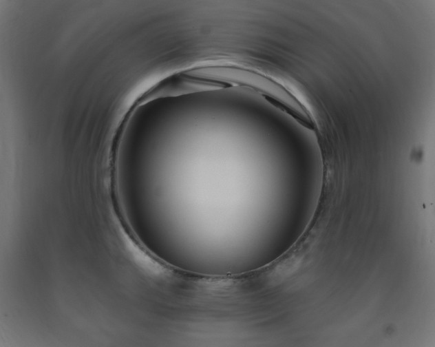 X0000093251143200710031558