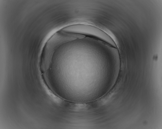 X0000093251144200710031558